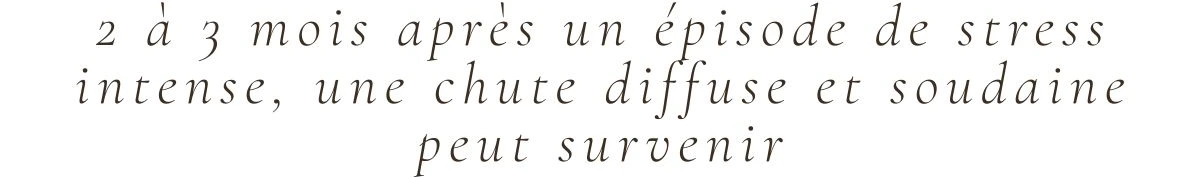 2 à 3 mois après un épisode de stress intense, une chute diffuse et soudaine peut survenir