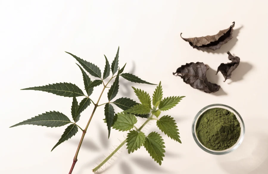 Neem & Ortie